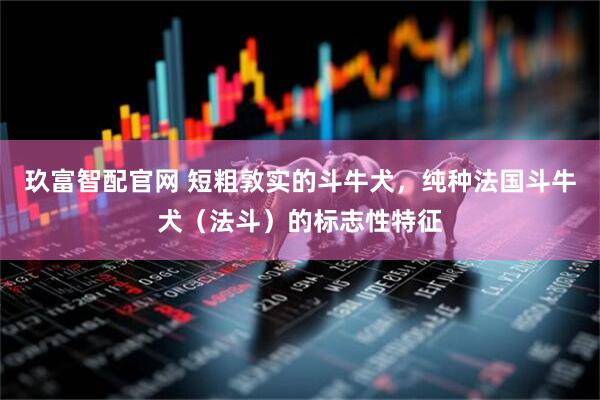 玖富智配官网 短粗敦实的斗牛犬，纯种法国斗牛犬（法斗）的标志性特征