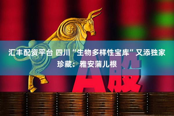 汇丰配资平台 四川“生物多样性宝库”又添独家珍藏：雅安蒲儿根