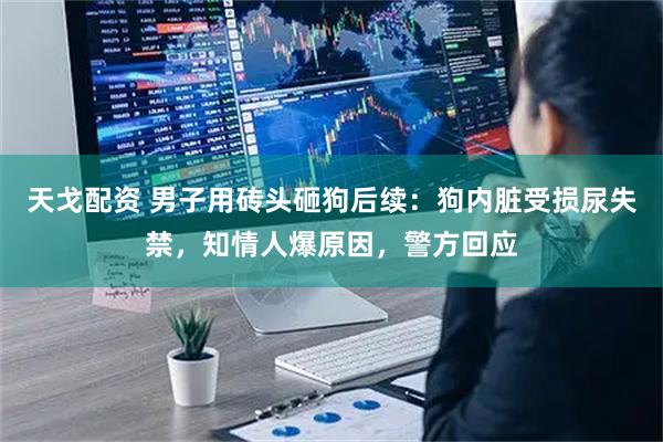 天戈配资 男子用砖头砸狗后续：狗内脏受损尿失禁，知情人爆原因，警方回应