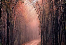 刚开户不能买哪些股票:配资讨论网-司尔特被证监会立案！公司涉嫌信息披露违法违规